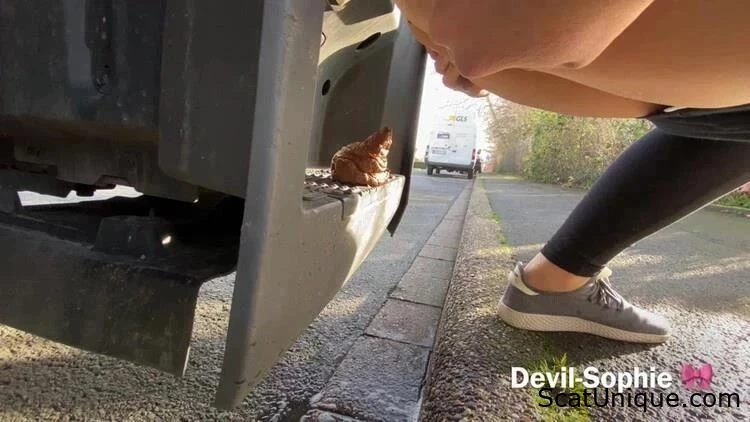 Goodness! How Did Feces Come To Be On The Vehicles Step? - Devil Sophie