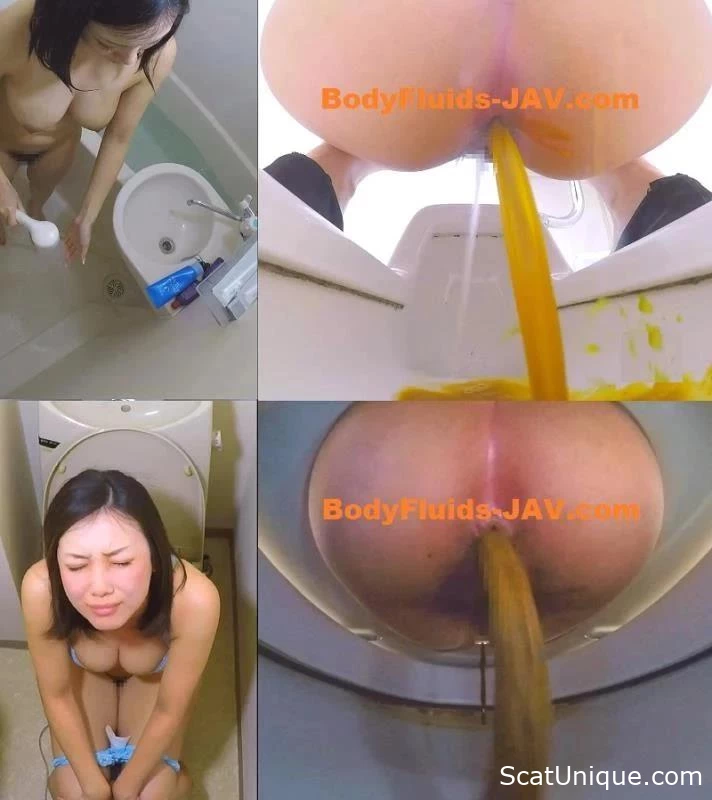 BFSL-29 カメラのトイレ映像 – 保護された大便