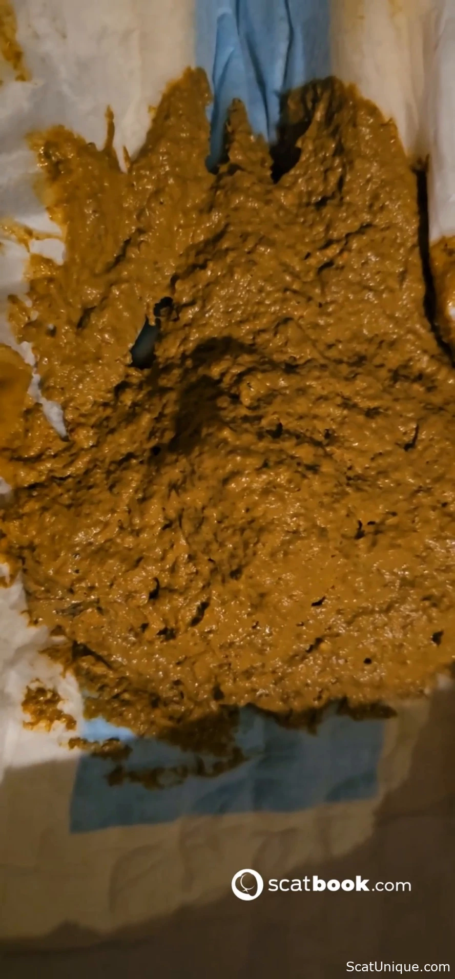 Excretion Diaper Scene Part One
